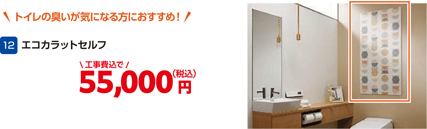 12 エコカラットセルフ 55,000円(税込・工事費込)
