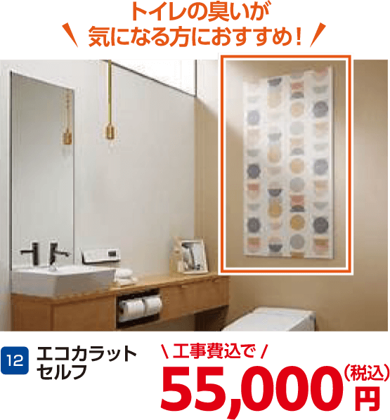 12 エコカラットセルフ 55,000円(税込・工事費込)