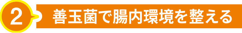 善玉菌で腸内環境を整える
