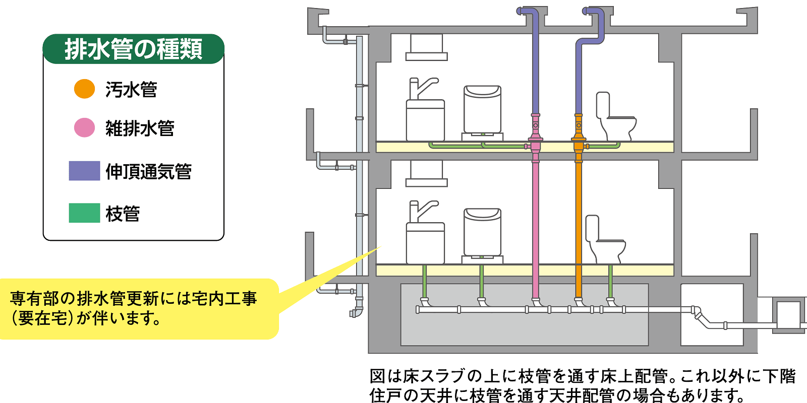 排水管の種類：汚水管・雑排水管・伸頂通気管・枝管
