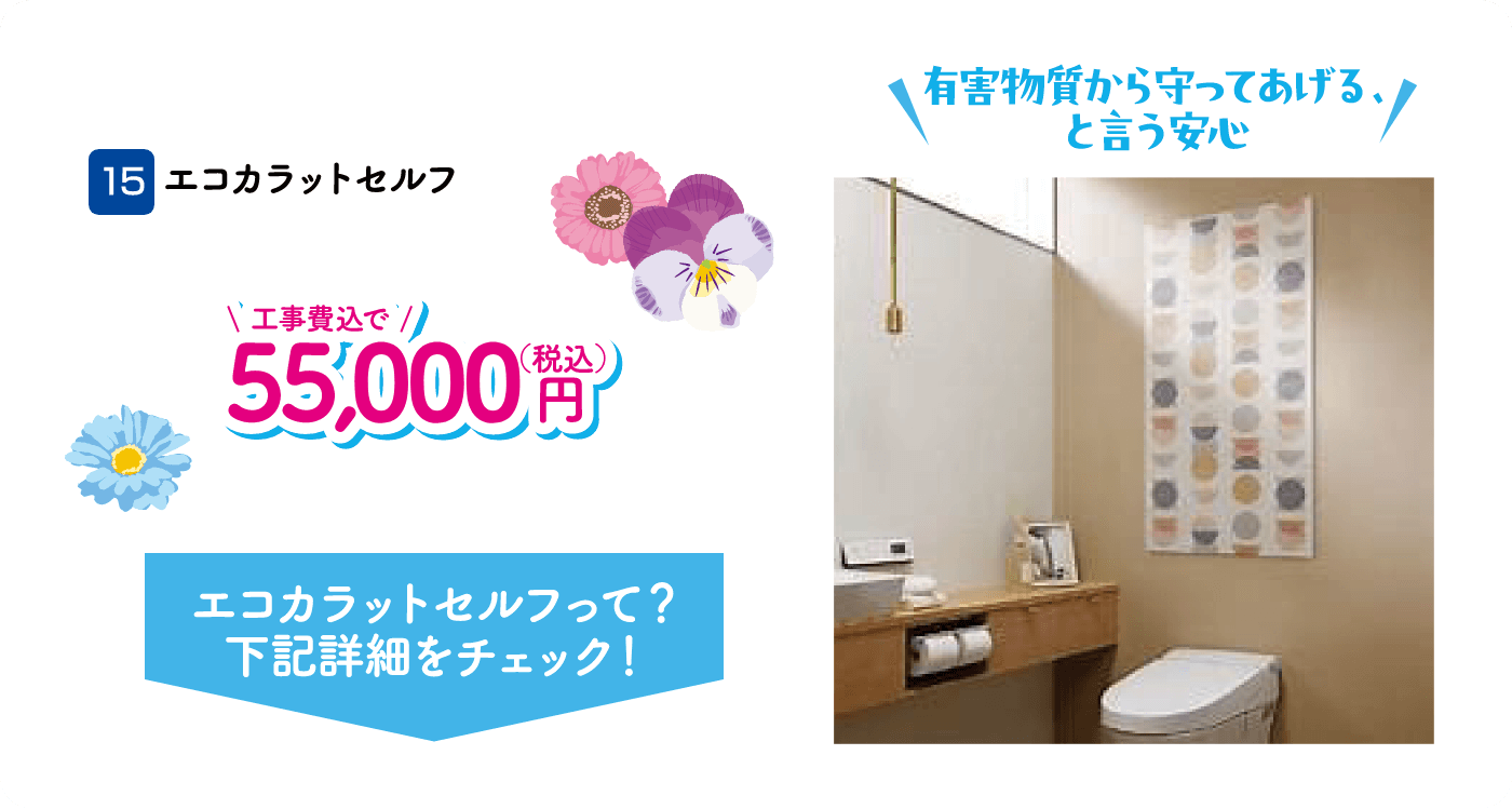 15 エコカラットセルフ 55,000円（税込・工事費込）