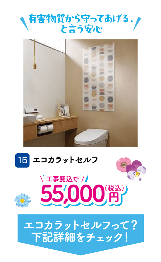 15 エコカラットセルフ 55,000円（税込・工事費込）