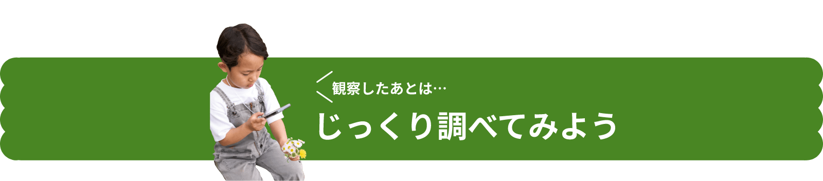 観察したあとは、じっくり調べてみよう