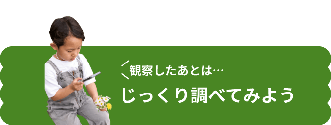 観察したあとは、じっくり調べてみよう