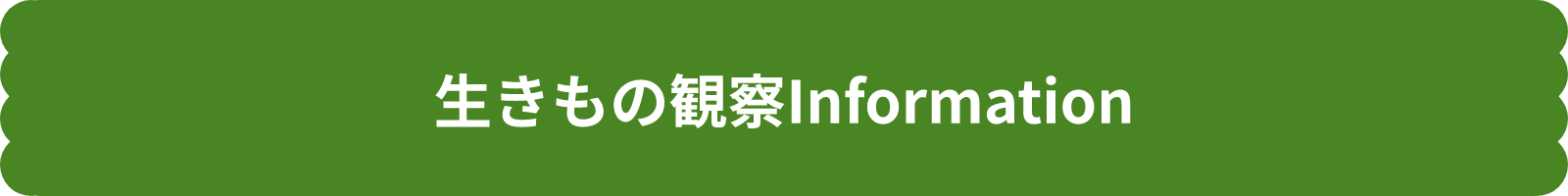 生きもの観察Information