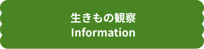 生きもの観察Information