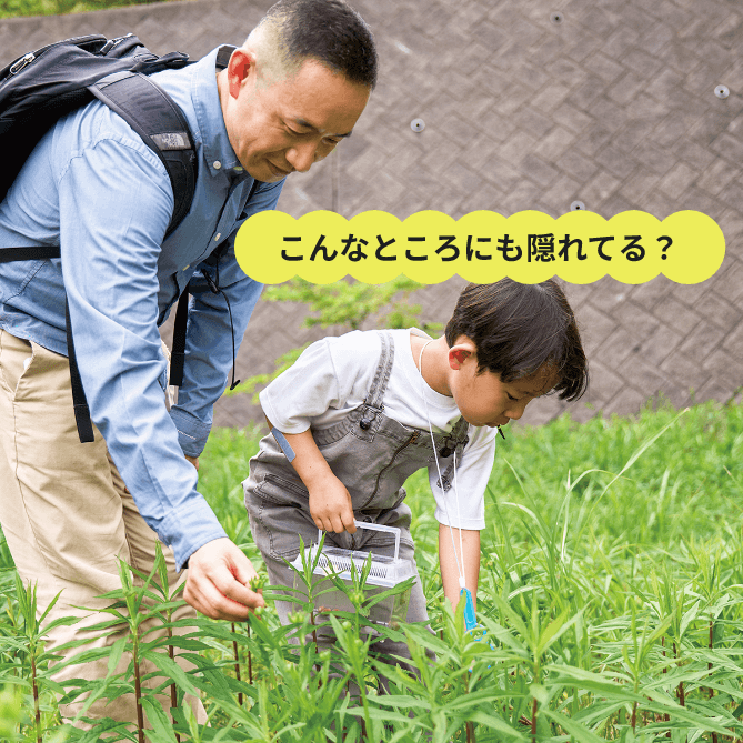 草むらで虫を探す2人