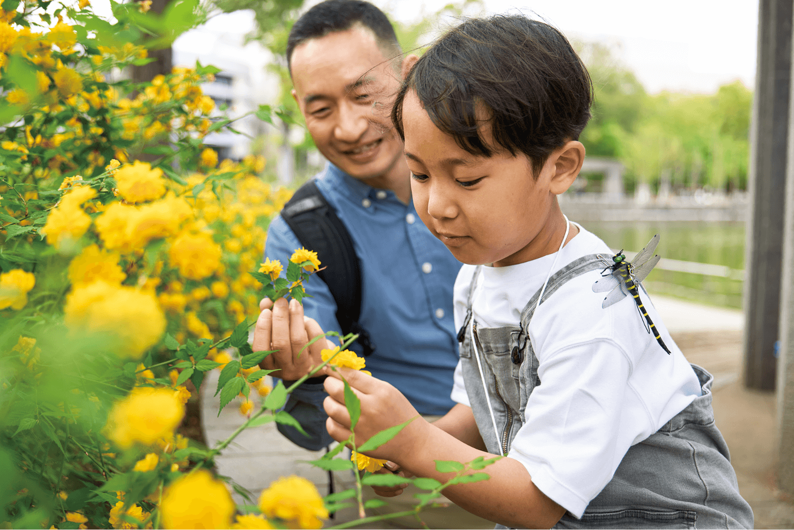 植物を観察する2人