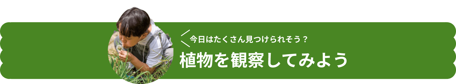 今日はたくさん見つけられそう？植物を観察してみよう