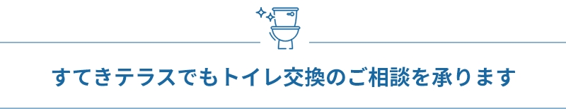 first_toilet_replace_consultation_h3