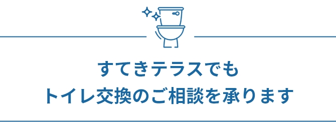 first_toilet_replace_consultation_h3_sp