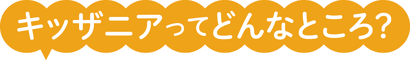 キッザニアってどんなところ？
