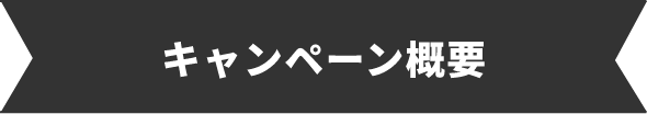 キャンペーン概要