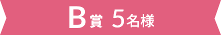 B賞 5名様
