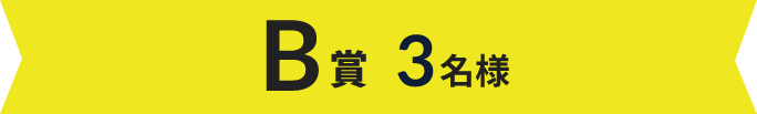 B賞 3名様