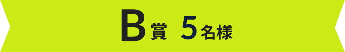 B賞 5名様