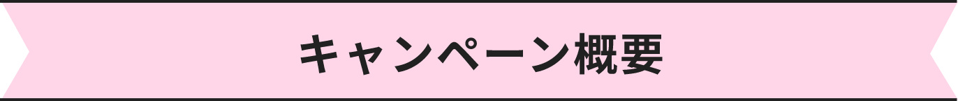キャンペーン概要
