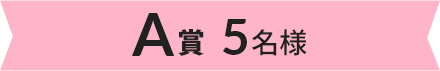 A賞 5名様