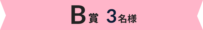 B賞 3名様