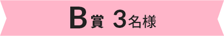 B賞 3名様