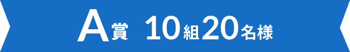 A賞 10組20名様