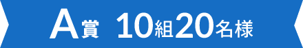 A賞 10組20名様