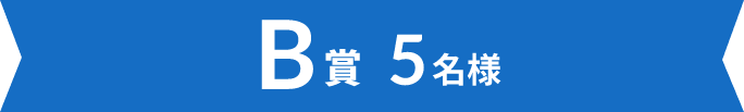 B賞 5名様