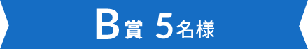 B賞 5名様
