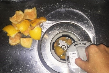 柑橘類を小さく切って投入する