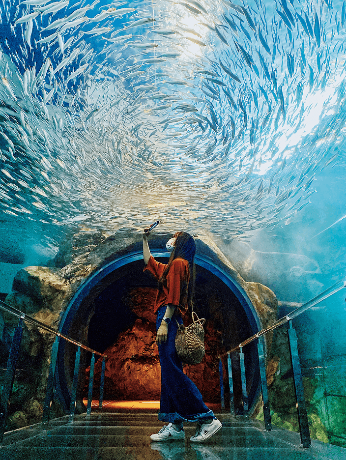 水族館の水中トンネルで上を見上げて写真を撮影する女性