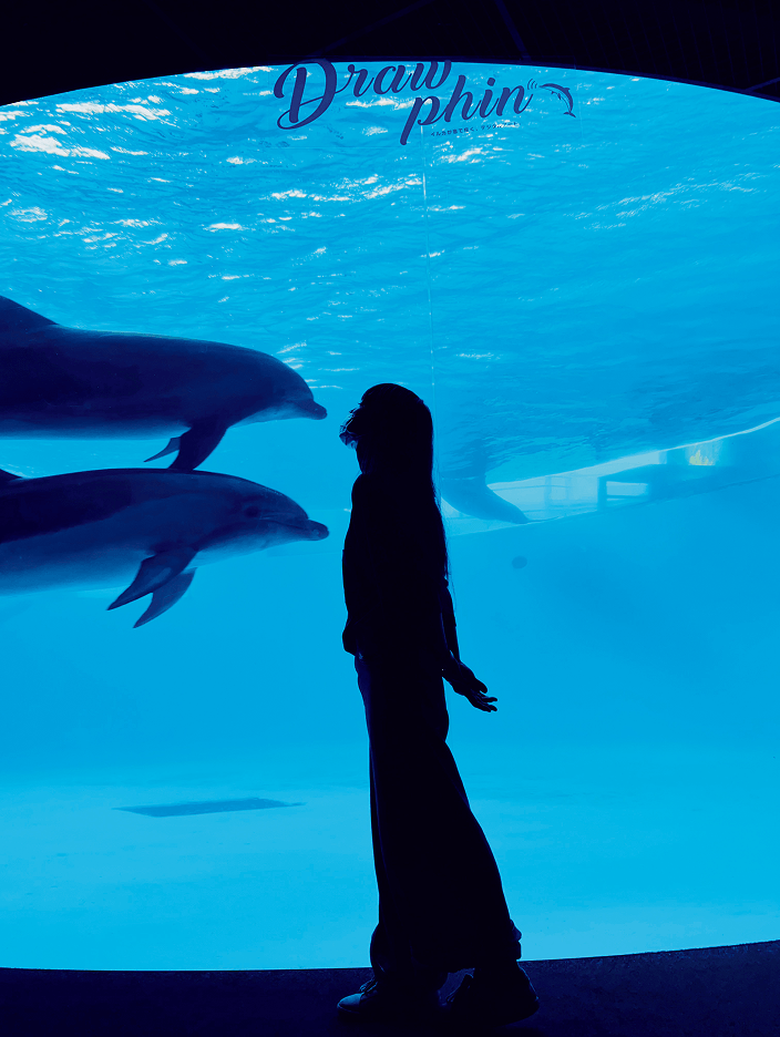 水槽で泳ぐイルカをバックに影になってポーズを撮る女性の写真