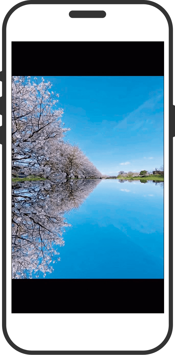 鏡を使用して撮影した桜並木の写ったスマートフォンの画面