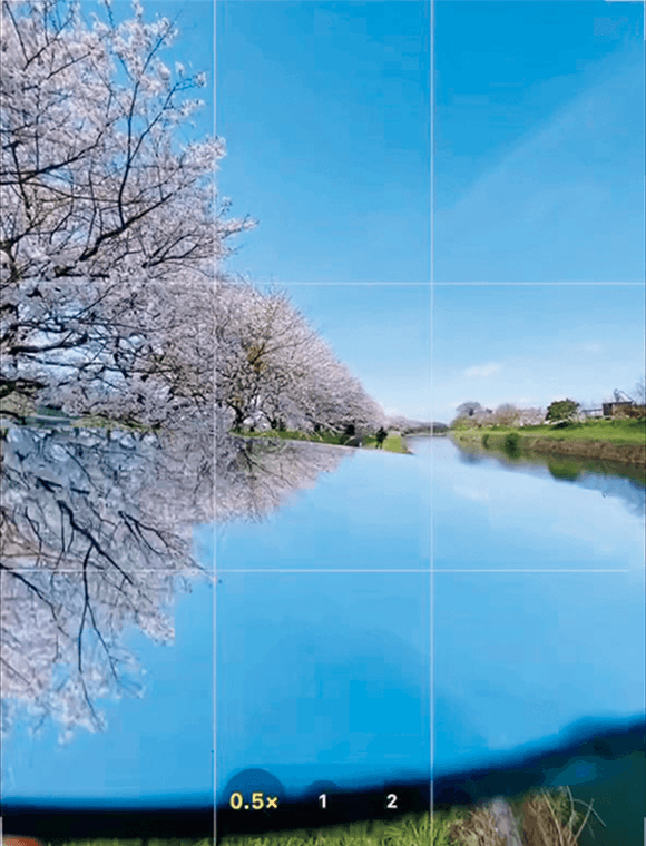 桜並木と持ち上げられる途中の鏡のふちが一緒に映った画面