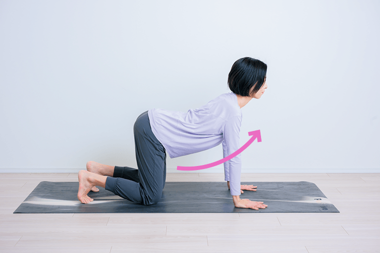 四つん這いの姿勢で胸を広げて頭を上げる先生