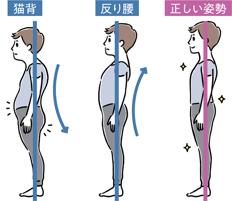 正しい立ち姿勢のイラスト図