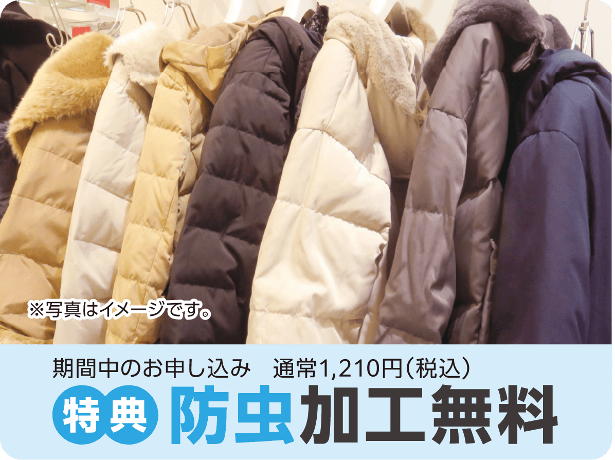 期間中のお申し込み 通常1,210円(税込) 特典:防虫加工無料