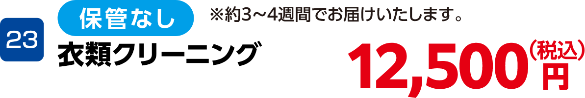 23 衣類クリーニング(保管なし) 12,500円(税込) ※約3~4週間でお届けいたします。