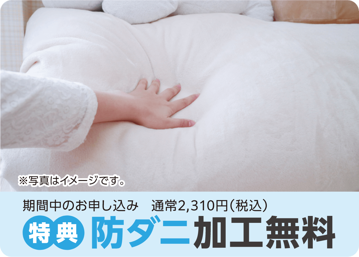 期間中のお申し込み 通常:2,310円(税込) 特典:防ダニ加工無料