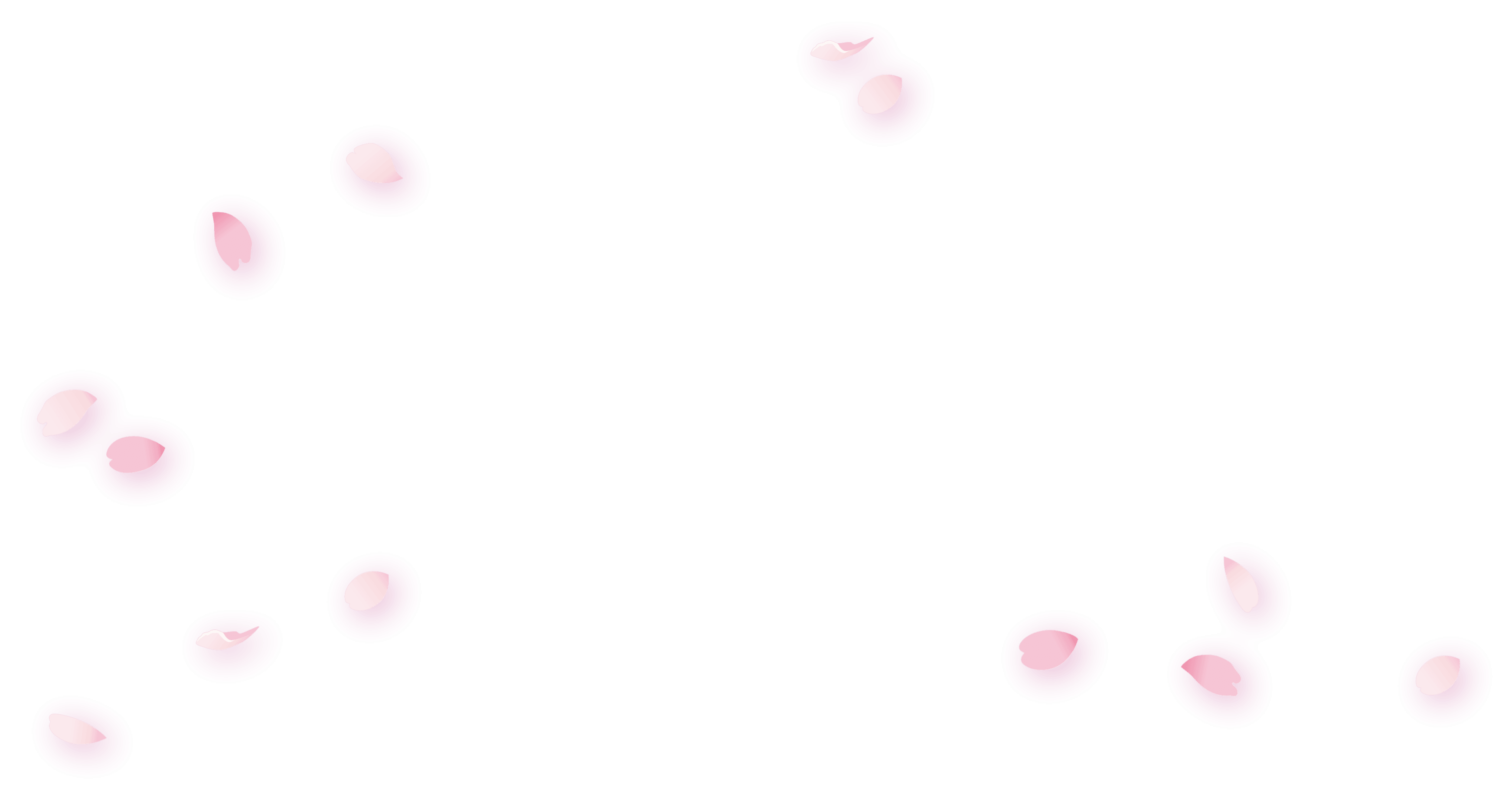 舞う桜の花びら