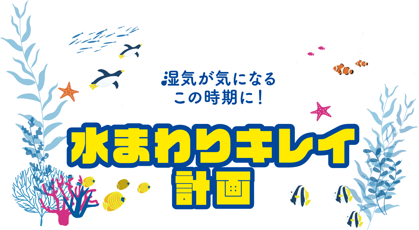 湿気が気になるこの時期に! 水まわりキレイ計画