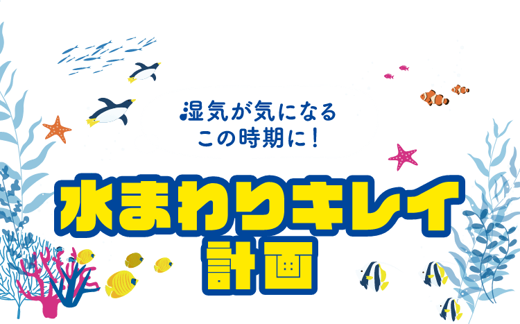 湿気が気になるこの時期に! 水まわりキレイ計画