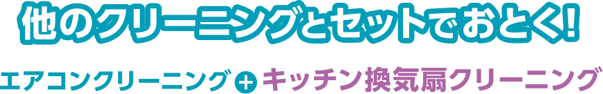 他のクリーニングとセットでおとく！