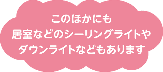 このほかにも居室などのシーリングライトやダウンライトなどもあります