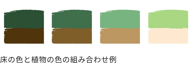 床の色と植物の色の組み合わせ例