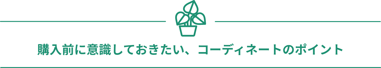 購入前に意識しておきたい、コーディネートのポイント