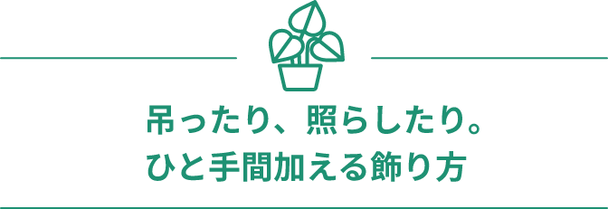 吊ったり、照らしたり。ひと手間加える飾り方