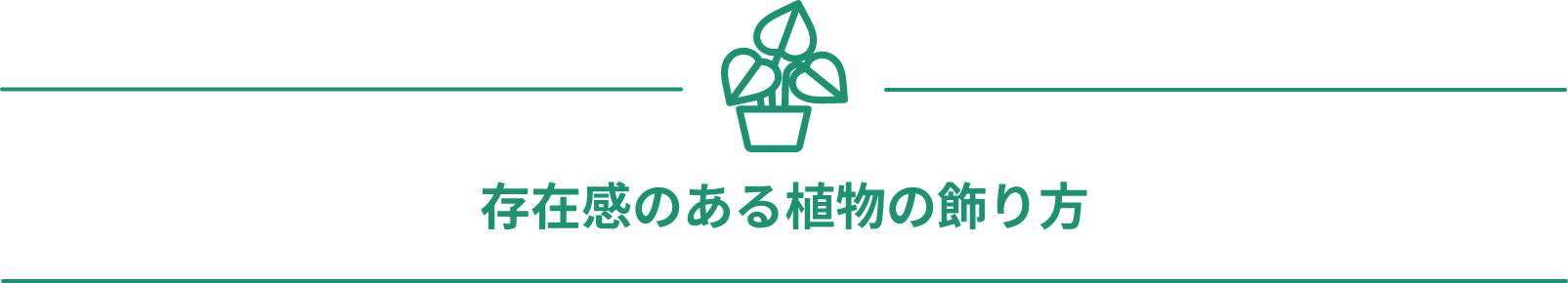 存在感のある植物の飾り方
