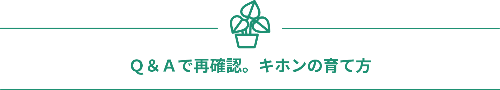 Ｑ＆Ａで再確認。キホンの育て方