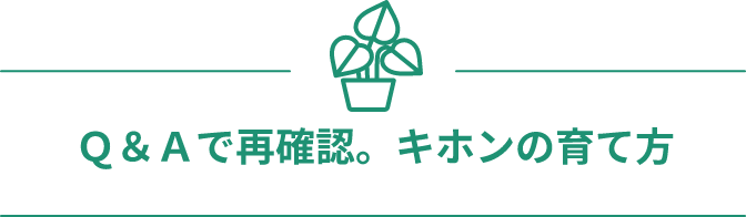 Ｑ＆Ａで再確認。キホンの育て方