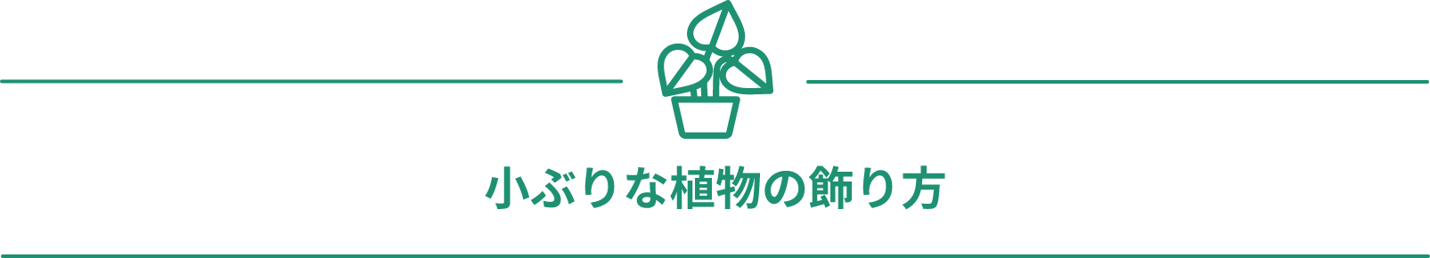 小ぶりな植物の飾り方